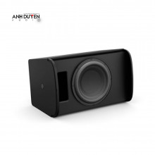 Bose DM10S-SUB