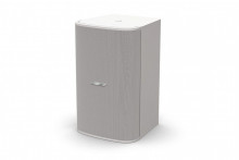 Bose DM10S-SUB