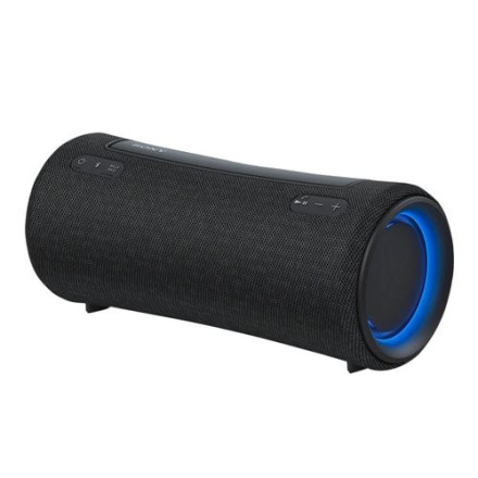SRS-XG300